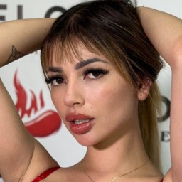 Gatita Veve