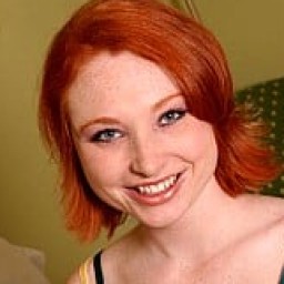Vixen Vogel